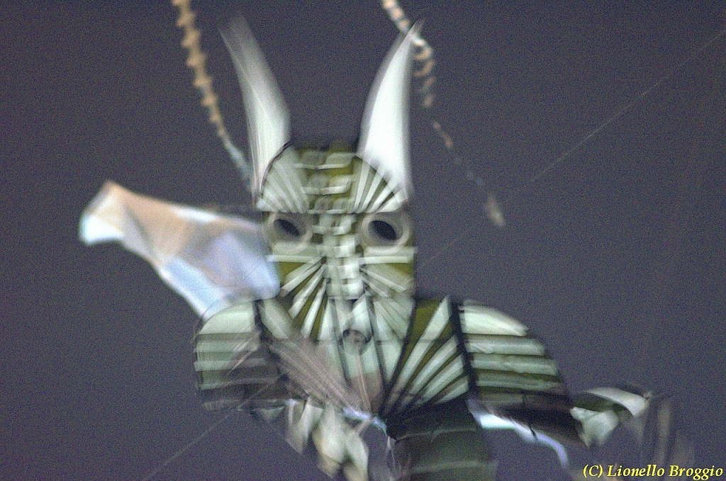 DSC_4497.jpg