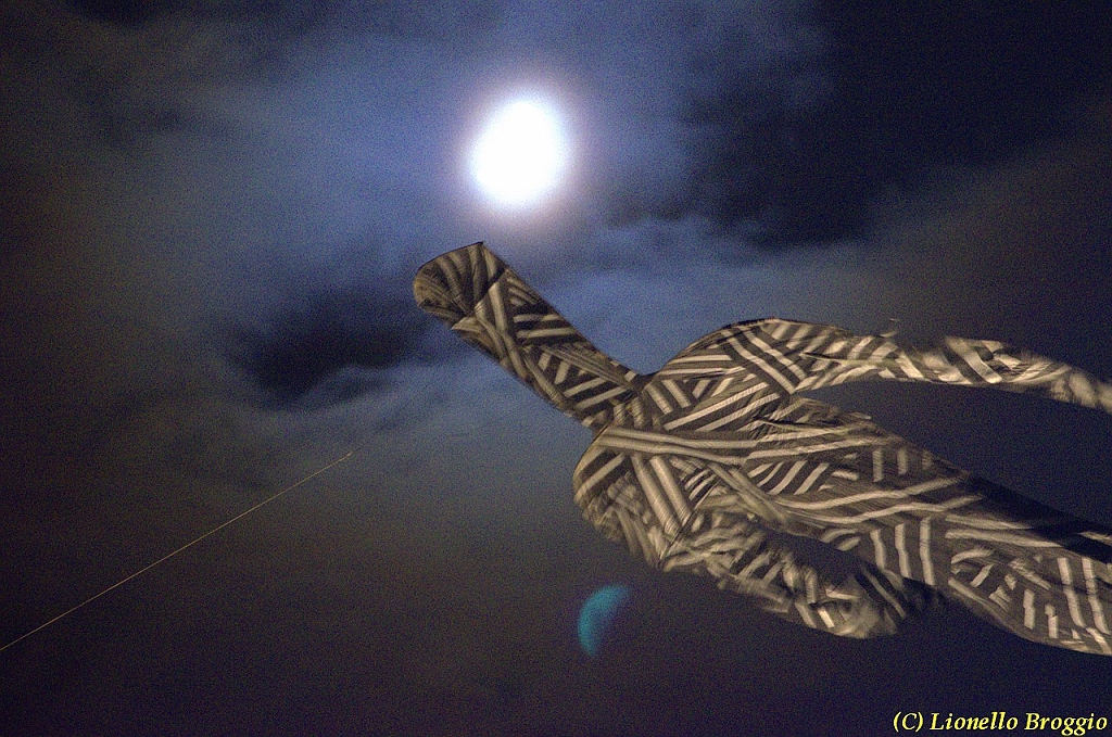 DSC_4499.jpg