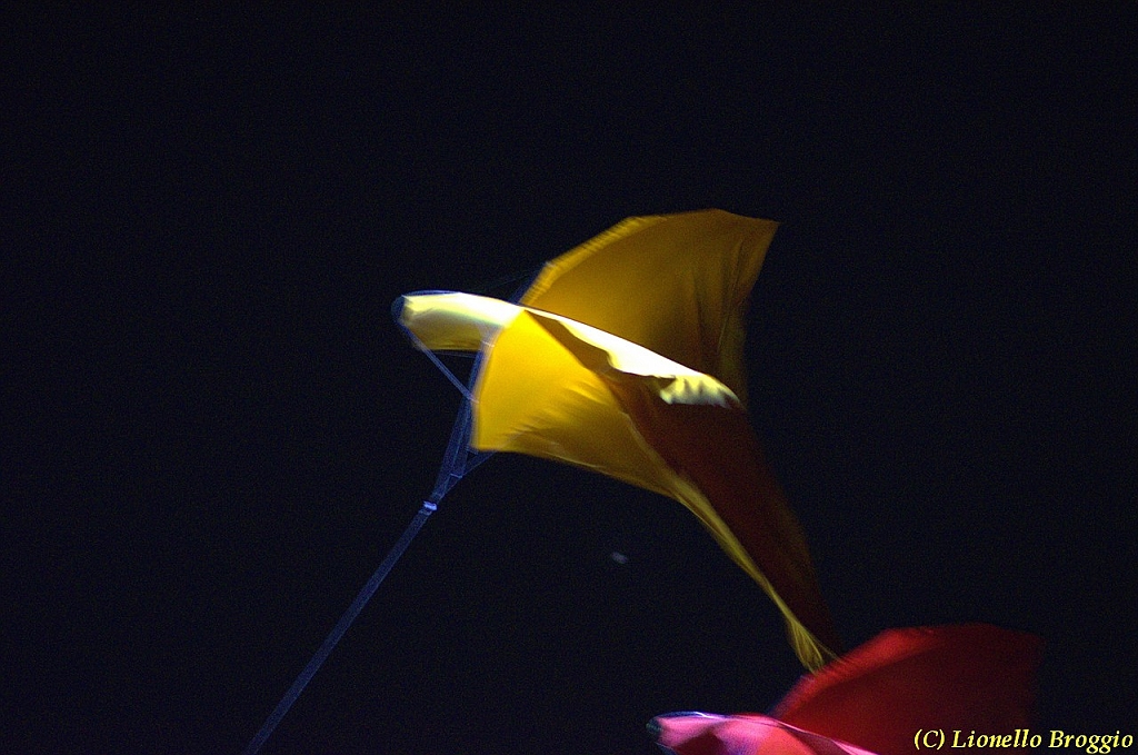 DSC_4500.jpg