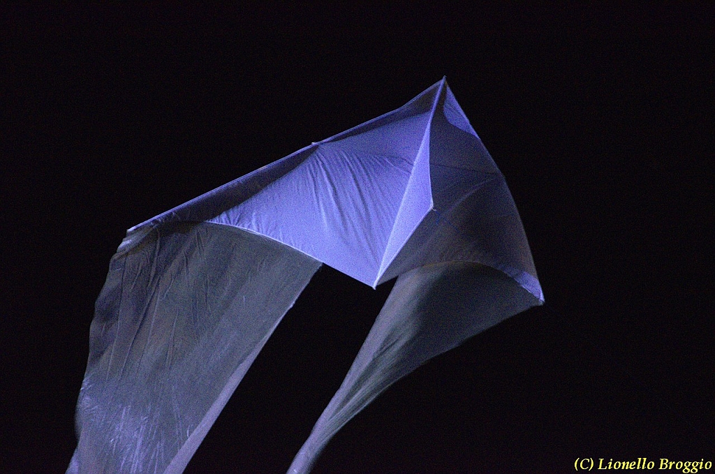 DSC_4503.jpg