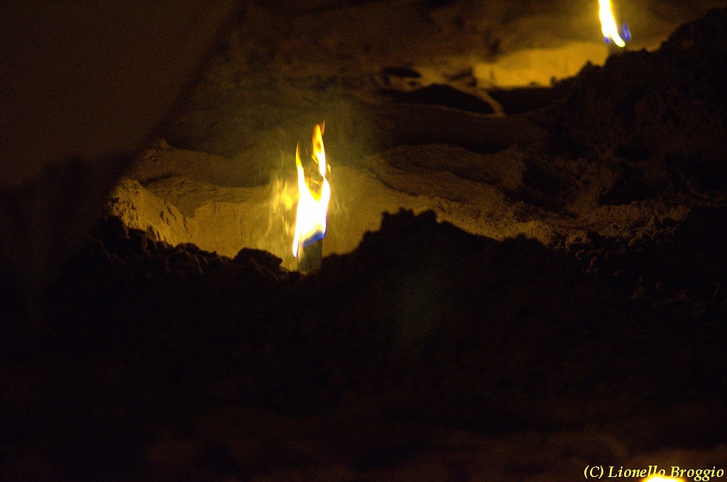 DSC_4505.jpg