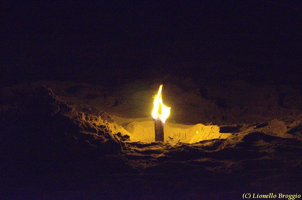 DSC_4507.jpg