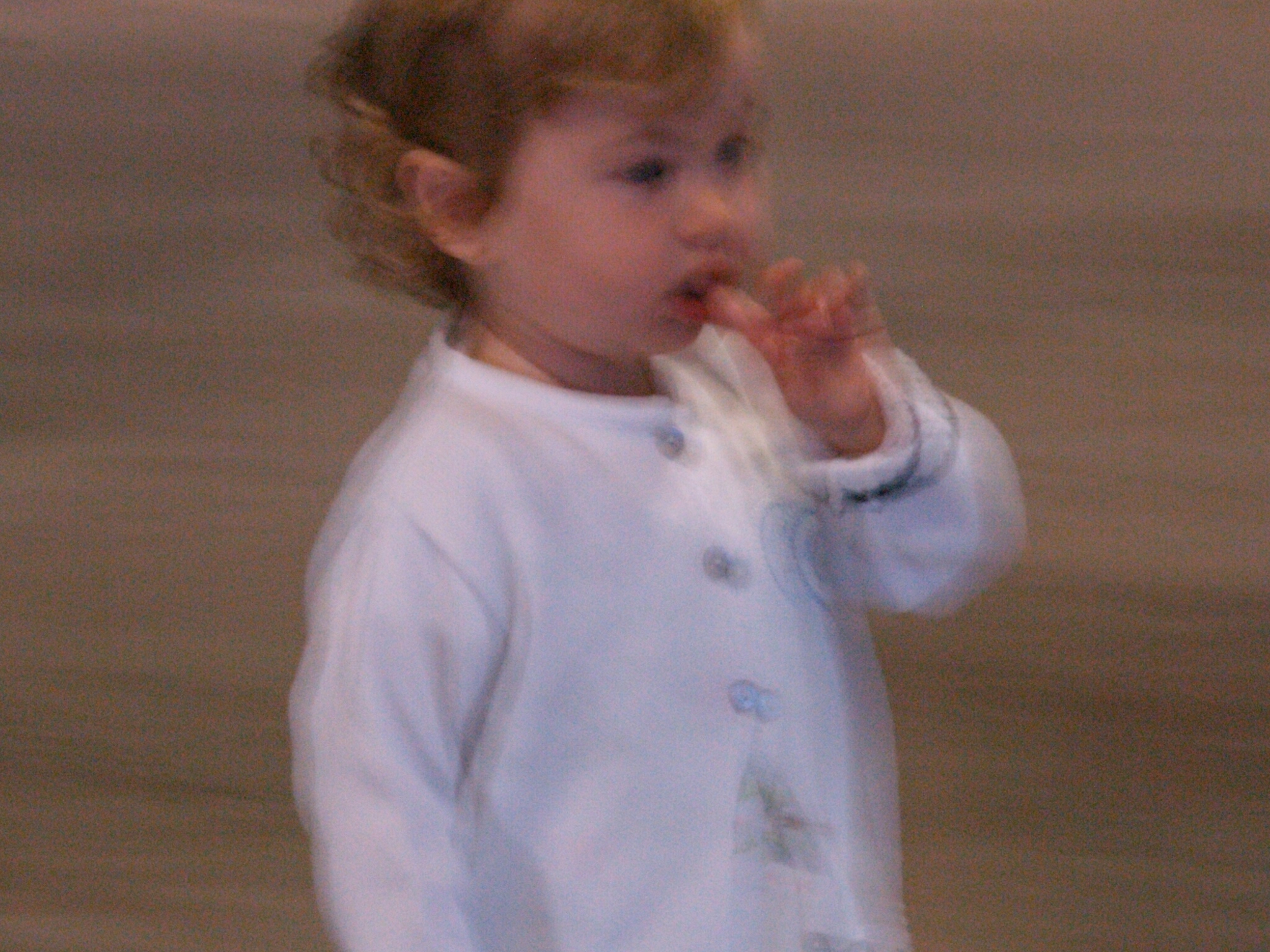 Spello2008-178.JPG - OLYMPUS DIGITAL CAMERA         