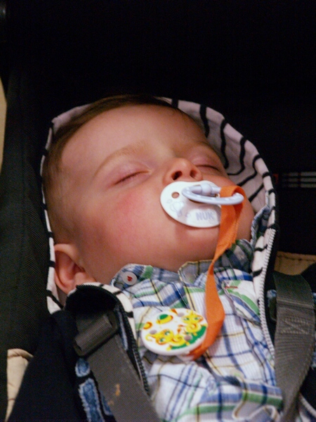L0100025.jpg - OLYMPUS DIGITAL CAMERA         