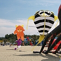 L0110077