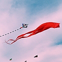 L0110079