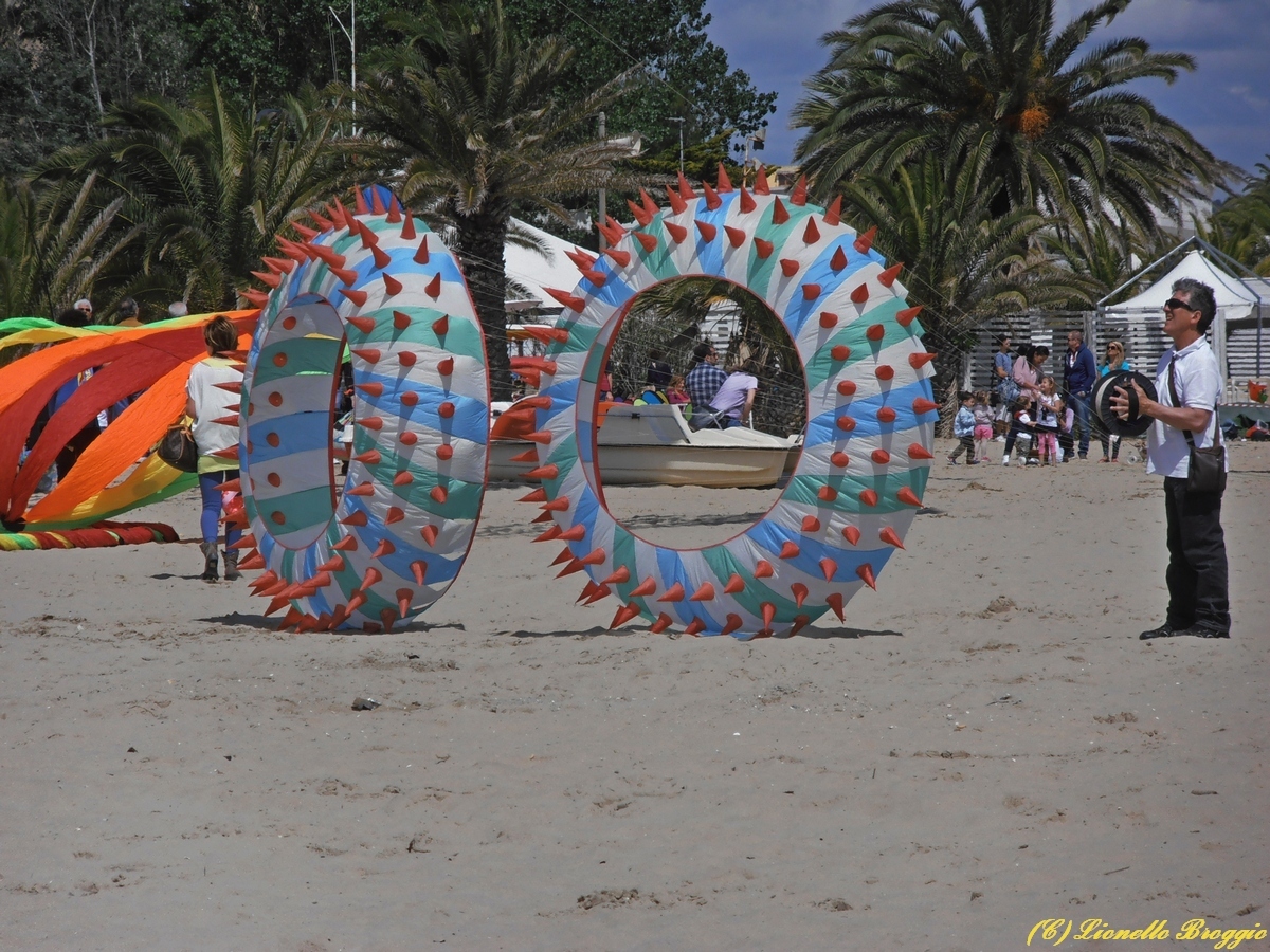 DSC_9769.jpg