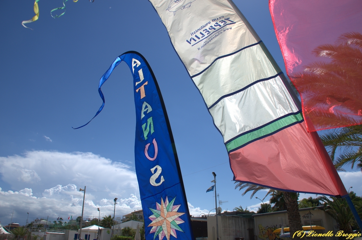 DSC_9776.jpg