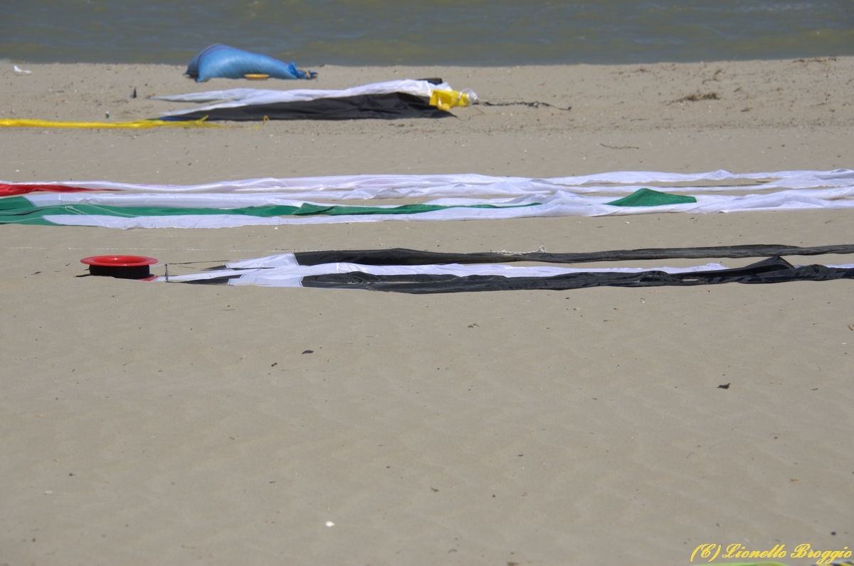 DSC_9777.jpg
