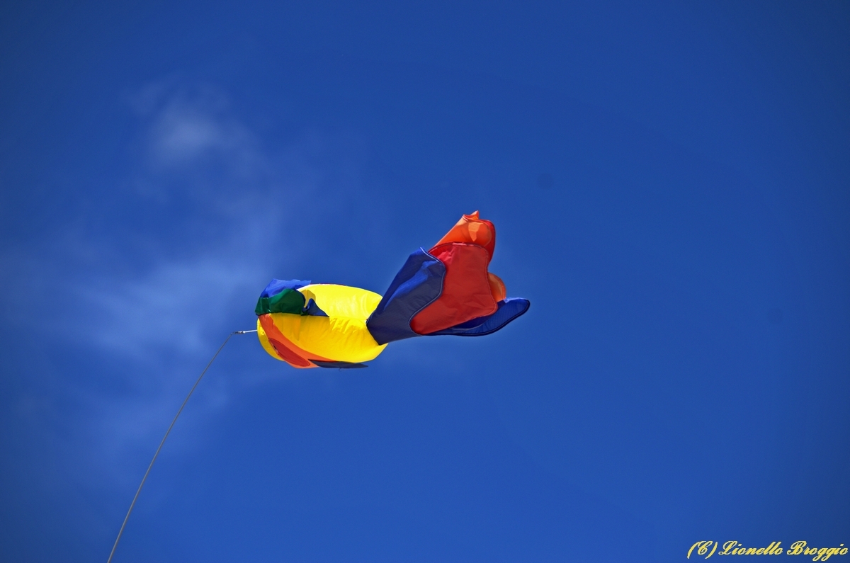 DSC_9790.jpg