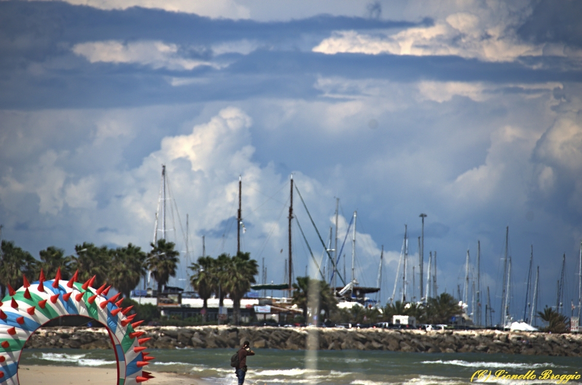 DSC_9792.jpg