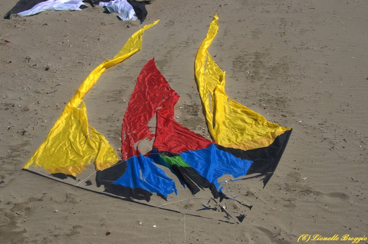 DSC_9805.jpg
