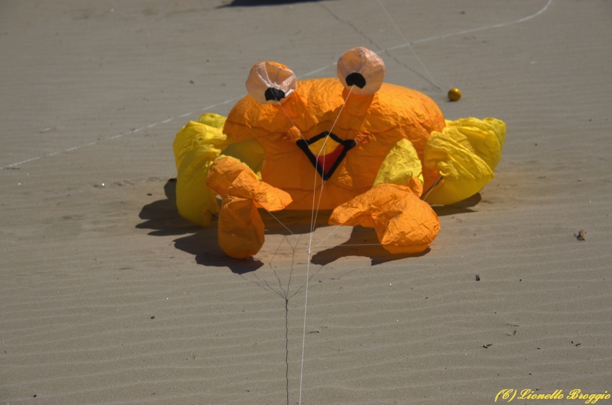 DSC_9809.jpg
