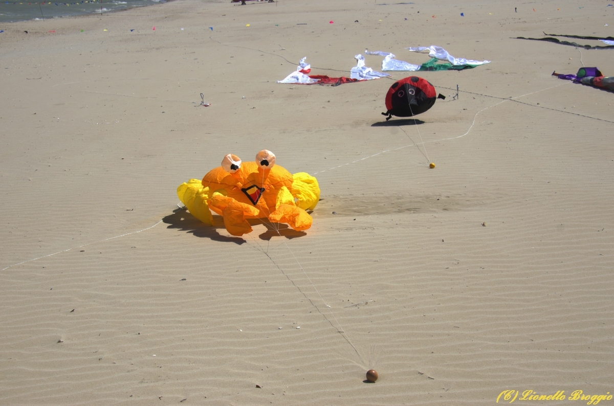 DSC_9810.jpg