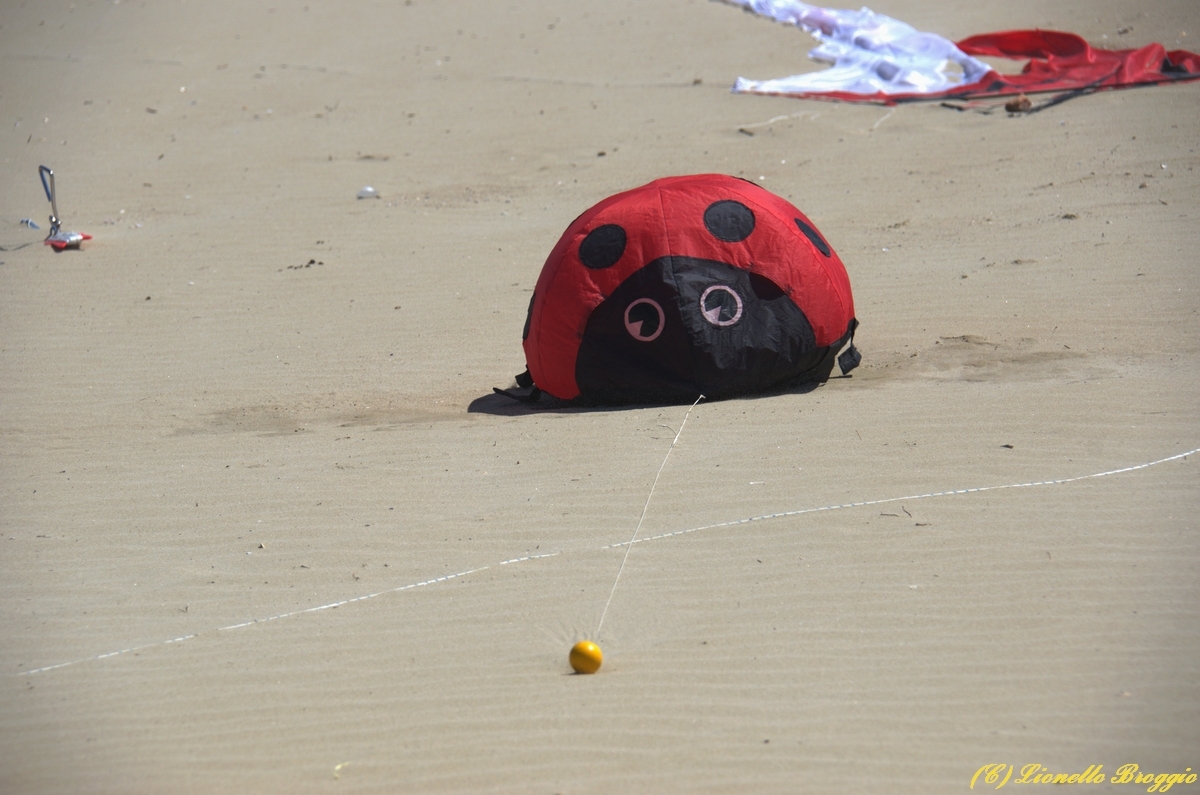 DSC_9818.jpg