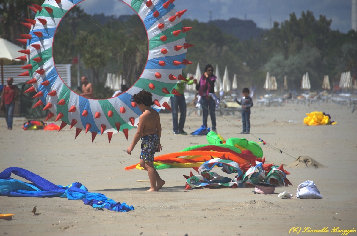 DSC_9823.jpg