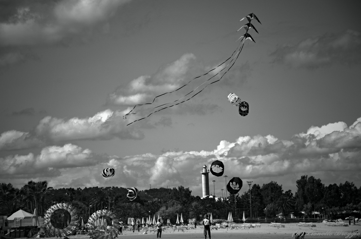 DSC_9840.jpg