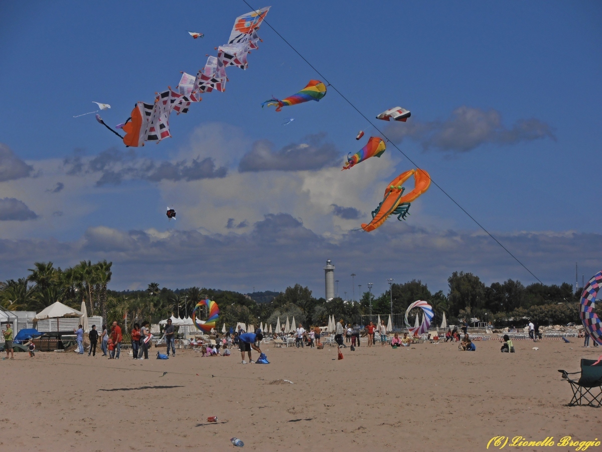 DSC_9843.jpg