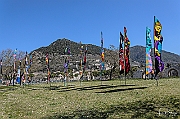 DCS-5023