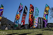 DCS-5029