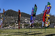 DCS-5035