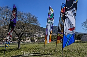 DCS-5041