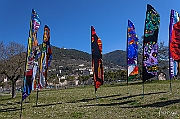 DCS-5044