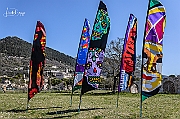 DCS-5056