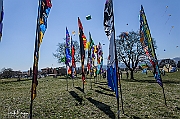 DCS-5068