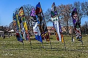 DCS-5071