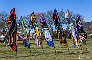 DCS-5074