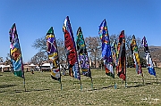 DCS-5077