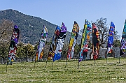 DCS-5089