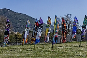 DCS-5092