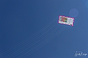 DCS-5095