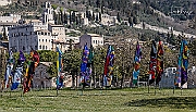 DCS-5107