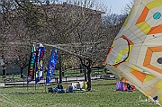 DCS-5113