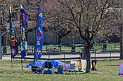 DCS-5115