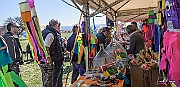 DCS-5141
