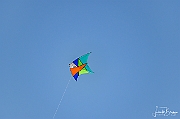 X-5055