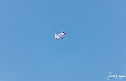 X-5059