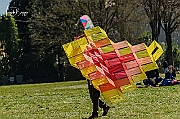 X-5066