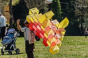 X-5067