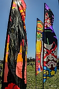 X-5099