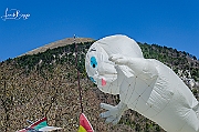 X-5134