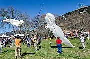 X-5135