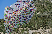 Y-5206