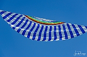 Y-5208
