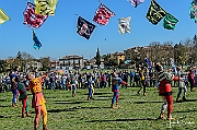 Y-5231