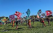 Y-5235